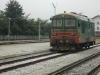 calalzo-038
