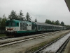calalzo-049