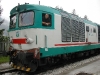 calalzo-061