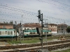 calalzo-086